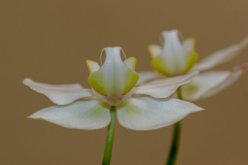 IMG_7491