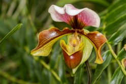 IMG_7877