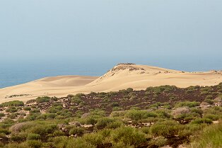 Dunes de sable en bord de mer