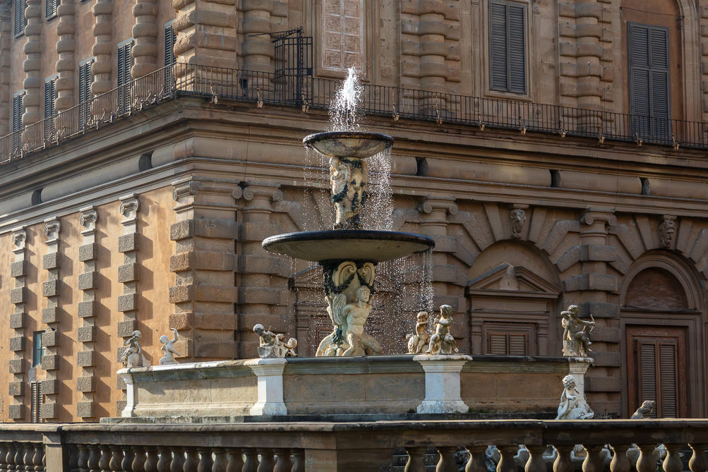 La fontaine de l'artichaut au Palais Pitti La fontaine de l'artichaut du Palais Pitti