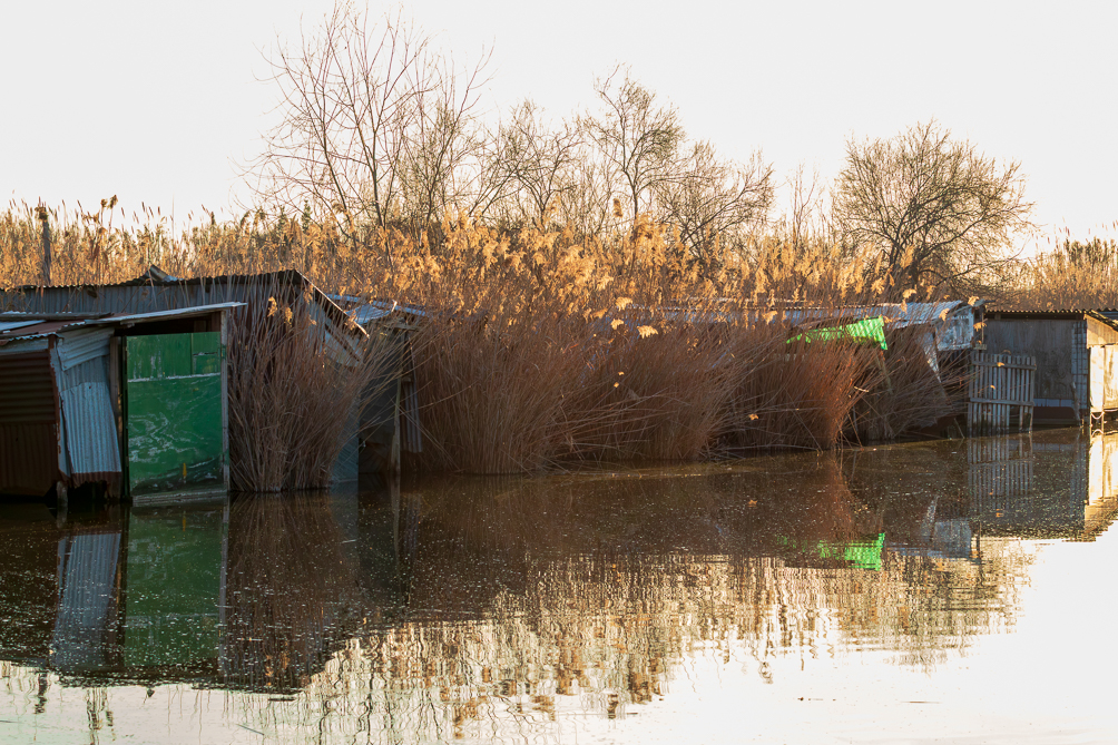 Lac de Massaciuccoli 