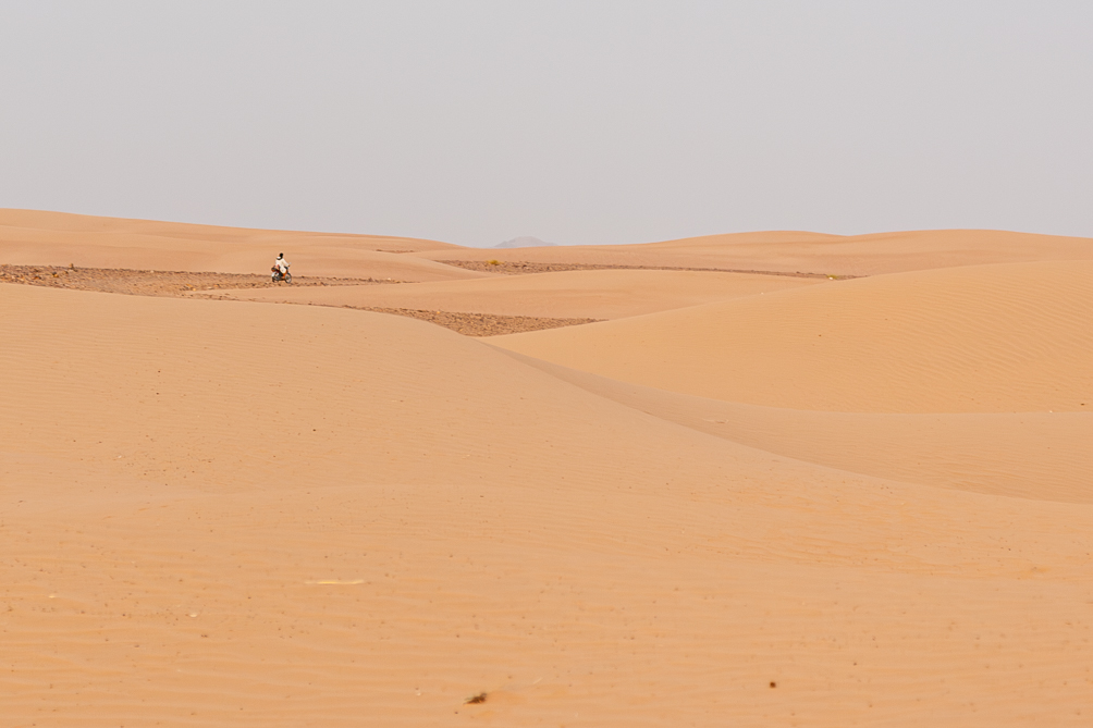 A l'aube dans le désert 