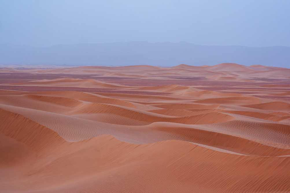 Dunes au sud de M'Hamid El Ghizlane 