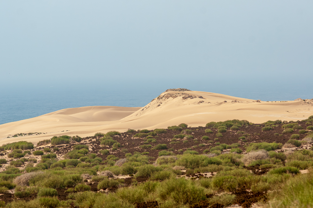 Dunes de sable en bord de mer 