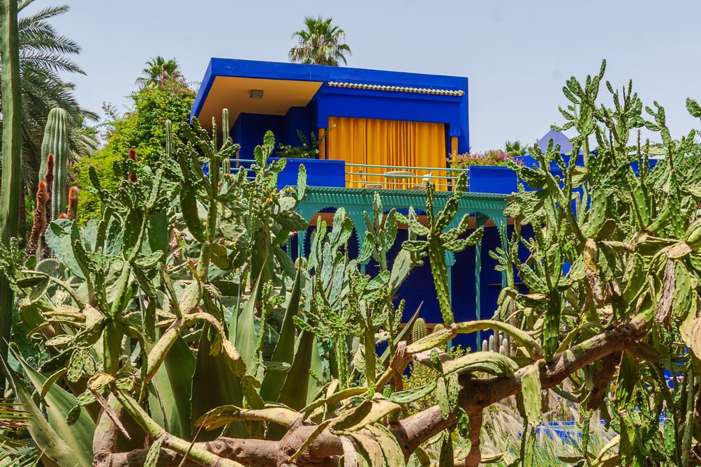 Le jardin de Majorelle 
