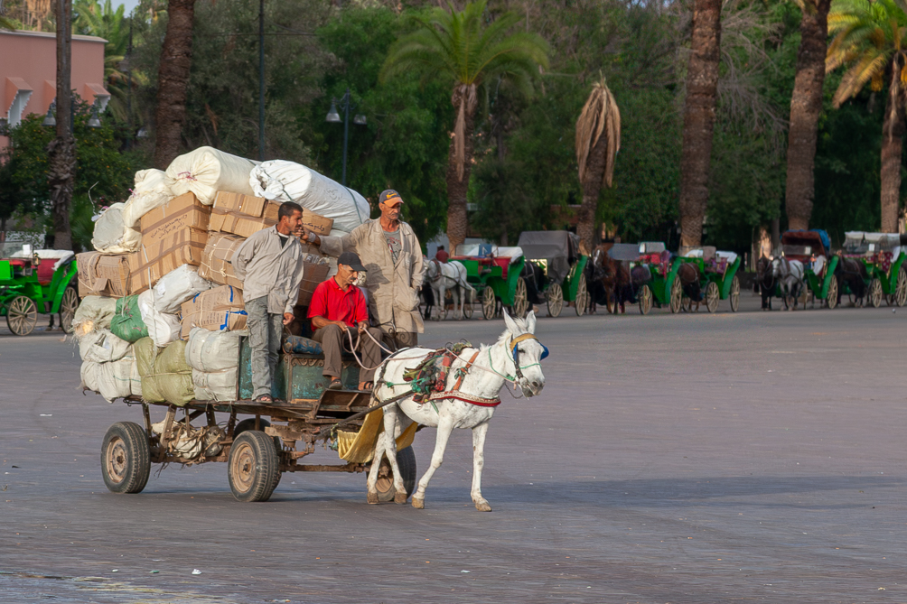 Livraison place Jemaa el-Fna 