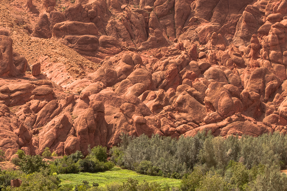 Les "Pattes de singes", vallée du Dadès 