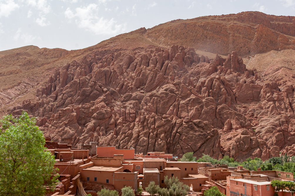 Les "Pattes de singes" dans las gorges du Dades 