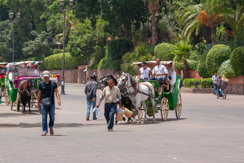Calèches place Jemaa el-Fna 