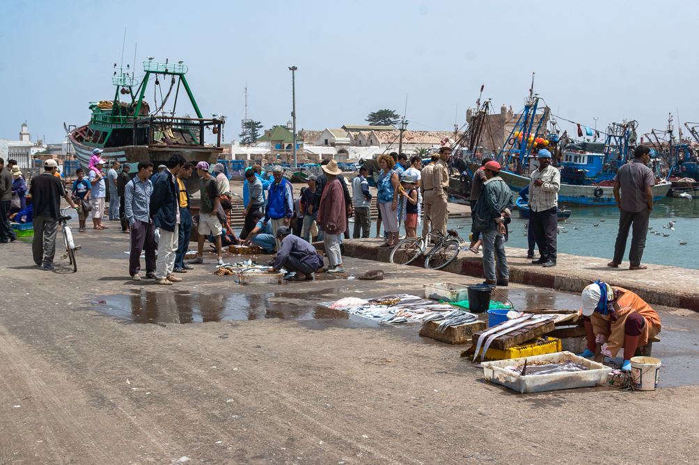 Vente de poissons sur le port 