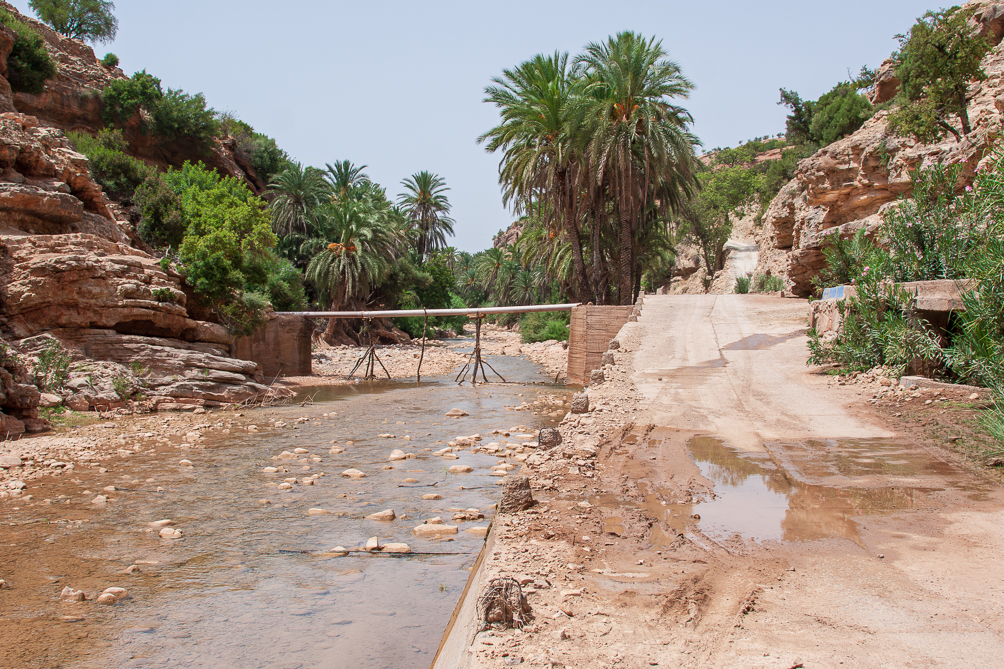 Sur la route du miel 