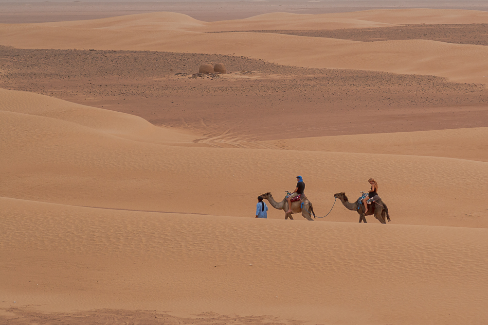 Désert au sud de M'Hamid El Ghizlane 