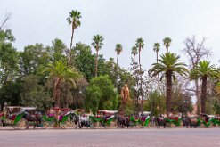 Place jemaa el fna