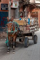 Livraison au Souk, à l'aube