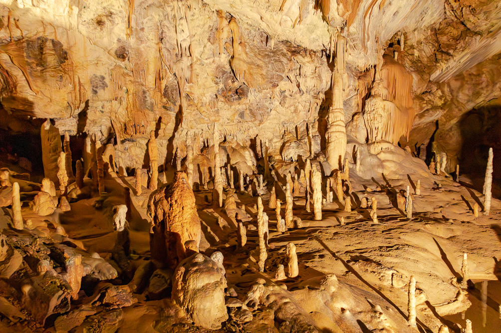 Grotte de Postojna La salle rouge de la grotte Postojna en Slovénie