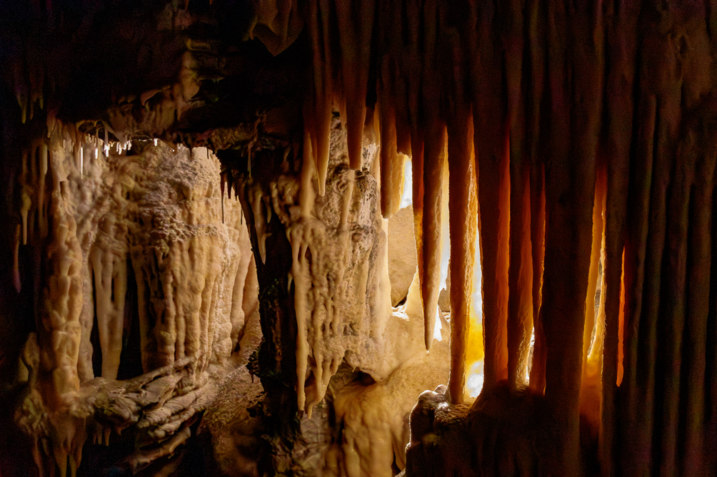Grotte de Postojna Grotte Postojna en Slovénie