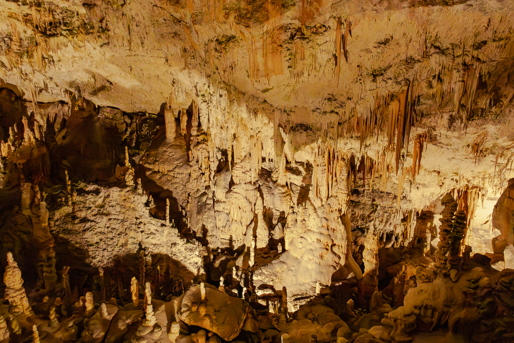 Grotte de Postojna Grotte de Postojna en Slovénie