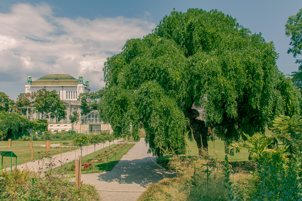 Jardin botanique Le Jardin botanique de Zagreb