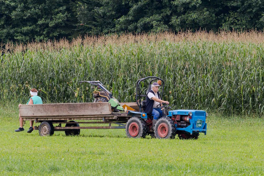 Paysans slovènes Agriculture rurale dans la campagne slovène