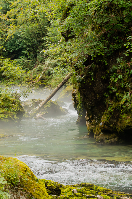 La rivière Radovna La rivière Radovna dans le parc national du Triglav, en Slovénie[