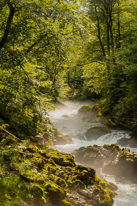 La rivière Radovna La rivière Radovna dans le parc national du Triglav, en Slovénie[