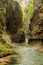 La gorge de Vintgar La Gorge de Vintgar dans le parc national du Triglav, en Slovénie[