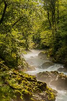 La rivière Radovna La rivière Radovna dans le parc national du Triglav, en Slovénie[