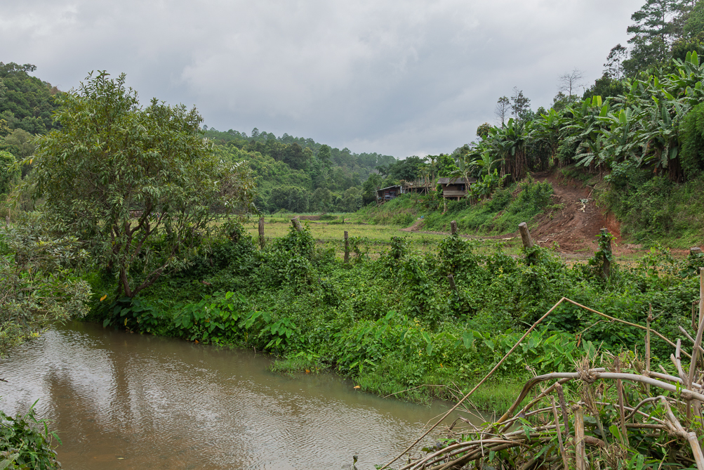 Campagne du Nord Thaï Paysage du nord de la Thaïlande entre jungle et prairie