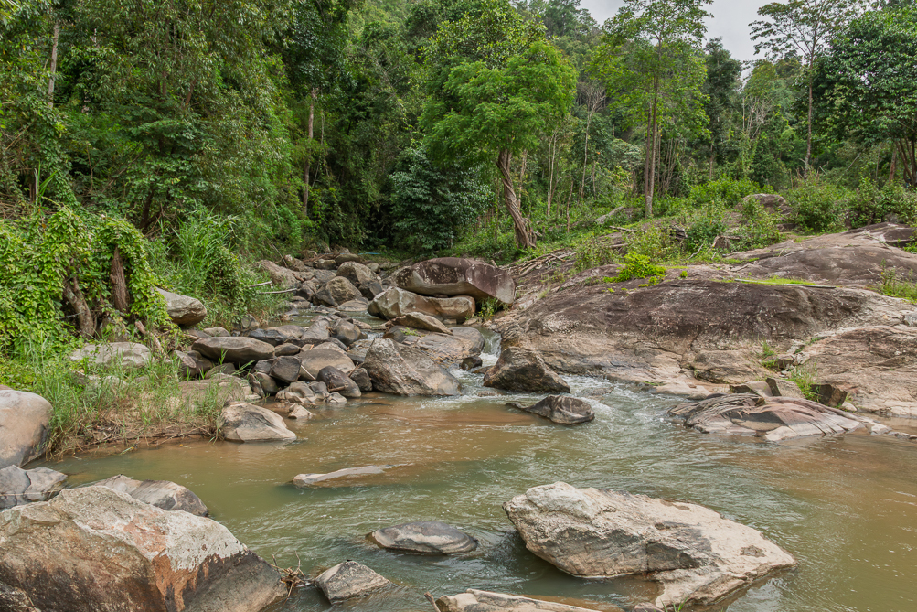 Rivière dans la jungle Rivière dans la jungle au Nord de la Thaïlande