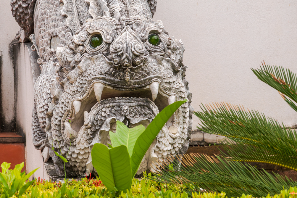 Tête de Dragon Tête de Dragon en pierre à l'entrée d'un temple à Chiang Mai